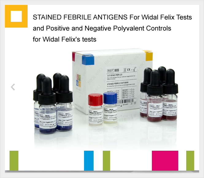 Positive Polyvalent Controls for Widal Felix’s tests 1 x 1 mL